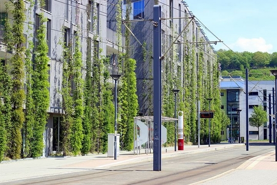 Bâtiments et habitat