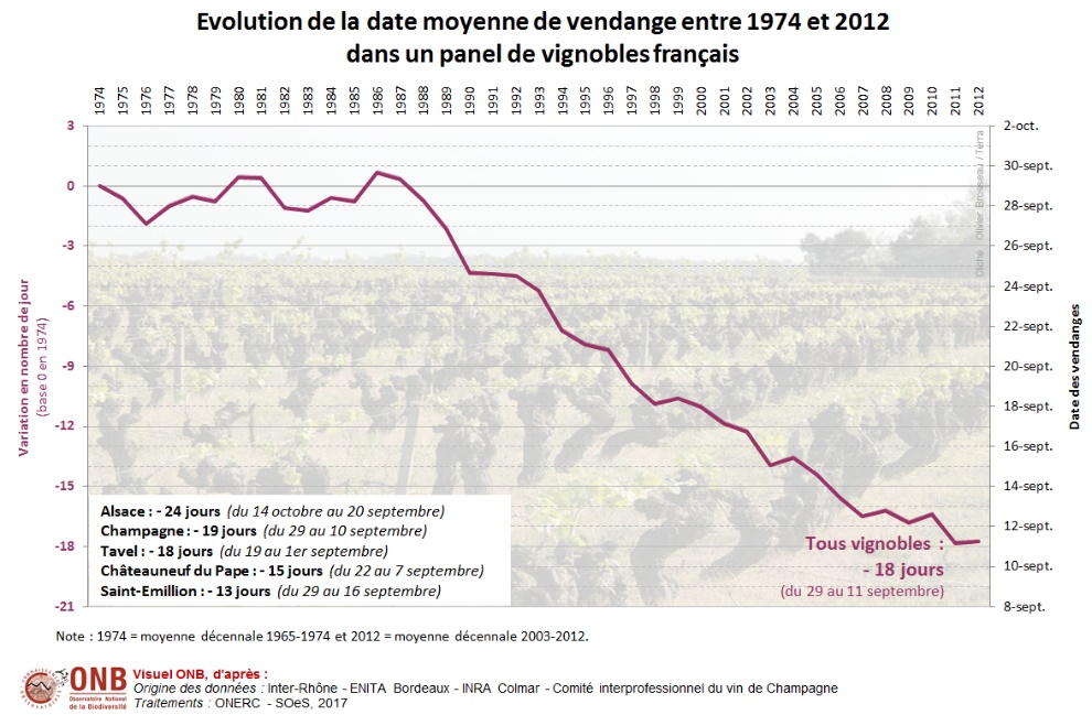 Evolution date des vendanges
