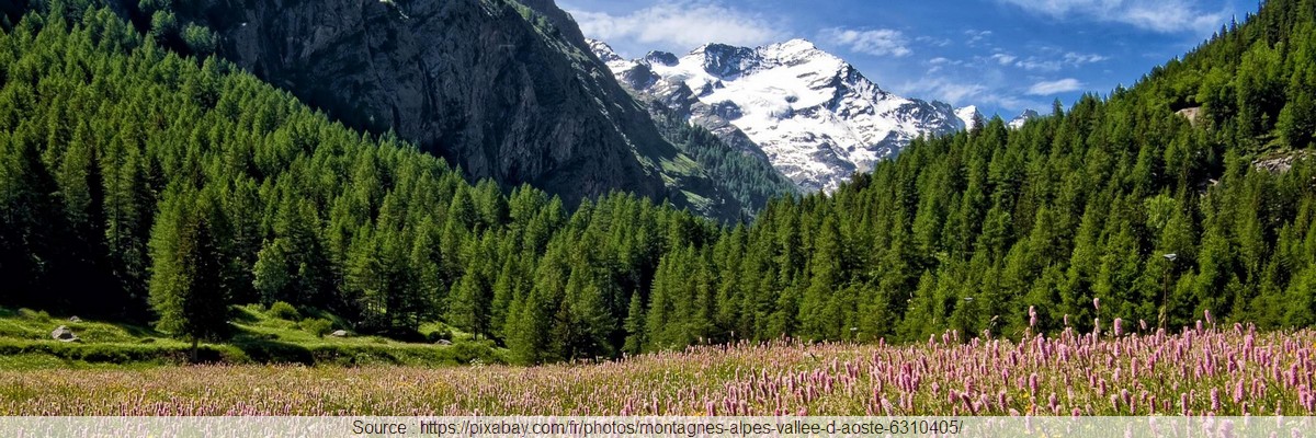 Montagne pelouse