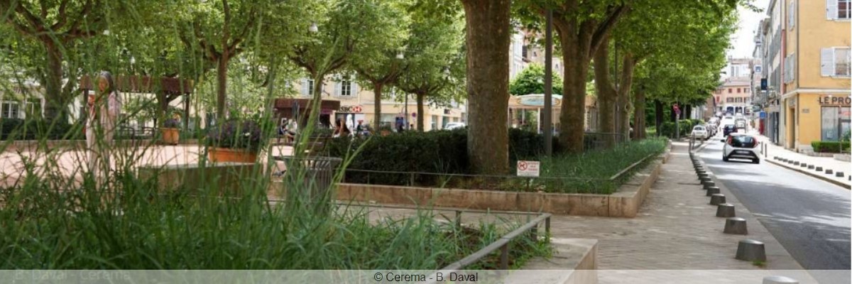 Plus la végétation sera dense aux pieds des arbres, plus le sol sera capable de stocker d’eau.