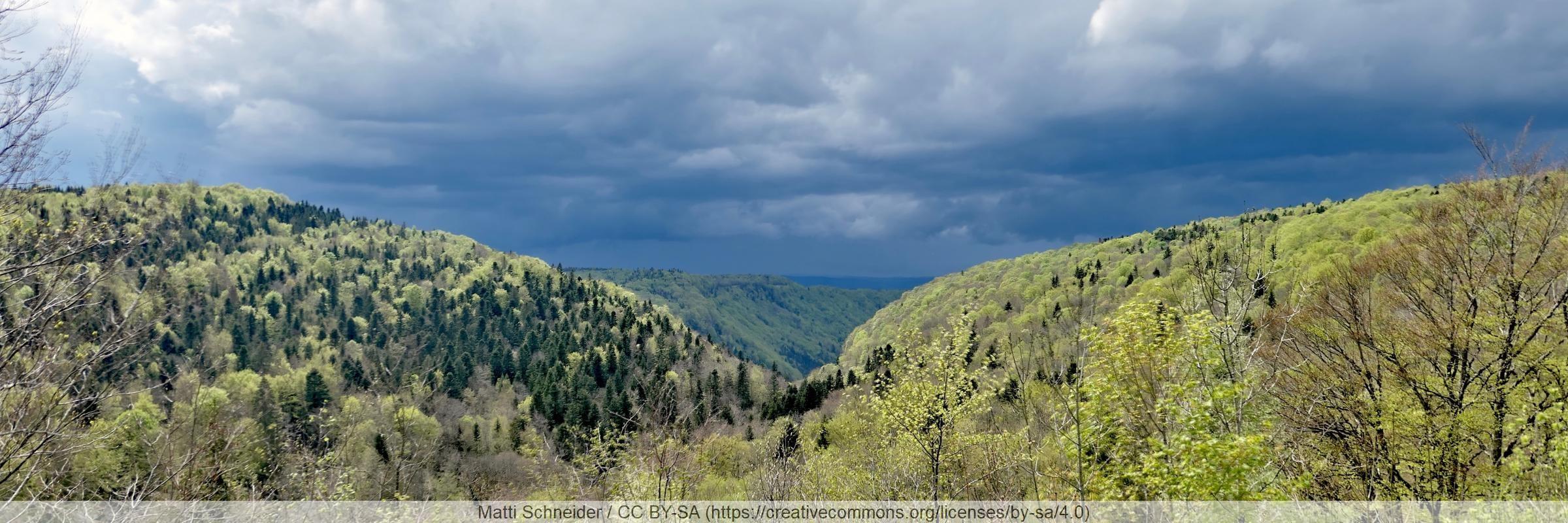 Parc du Haut-Jura