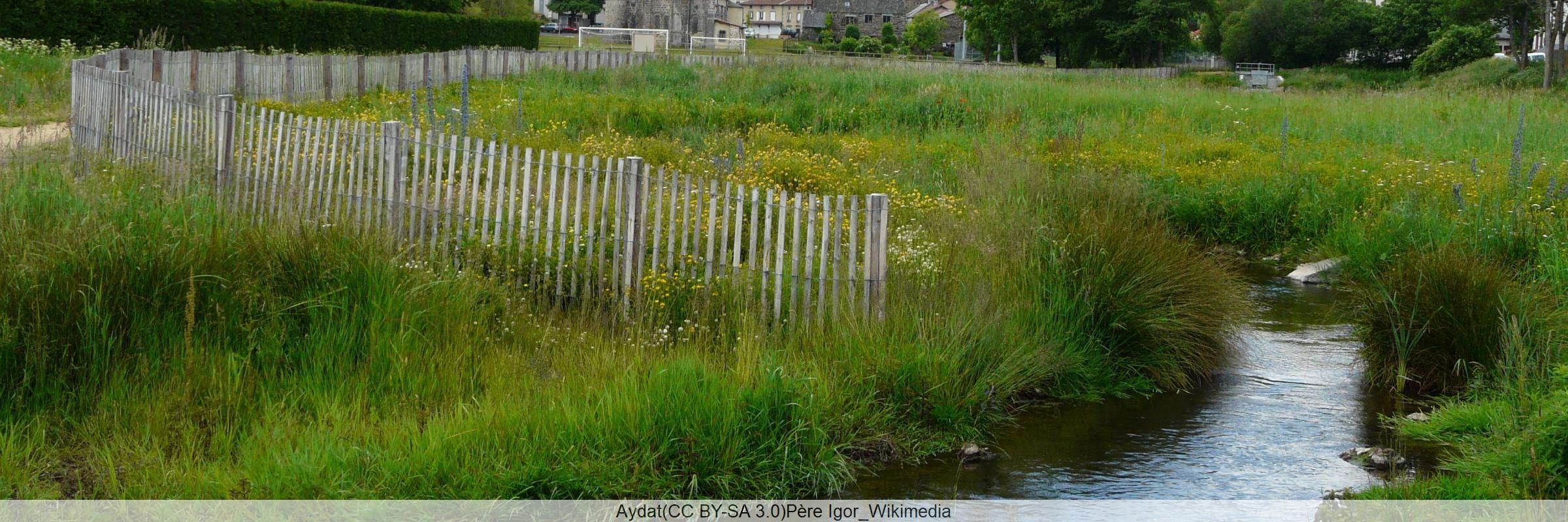 Plan d’adaptation au changement climatique pour le bassin Loire-Bretagne
