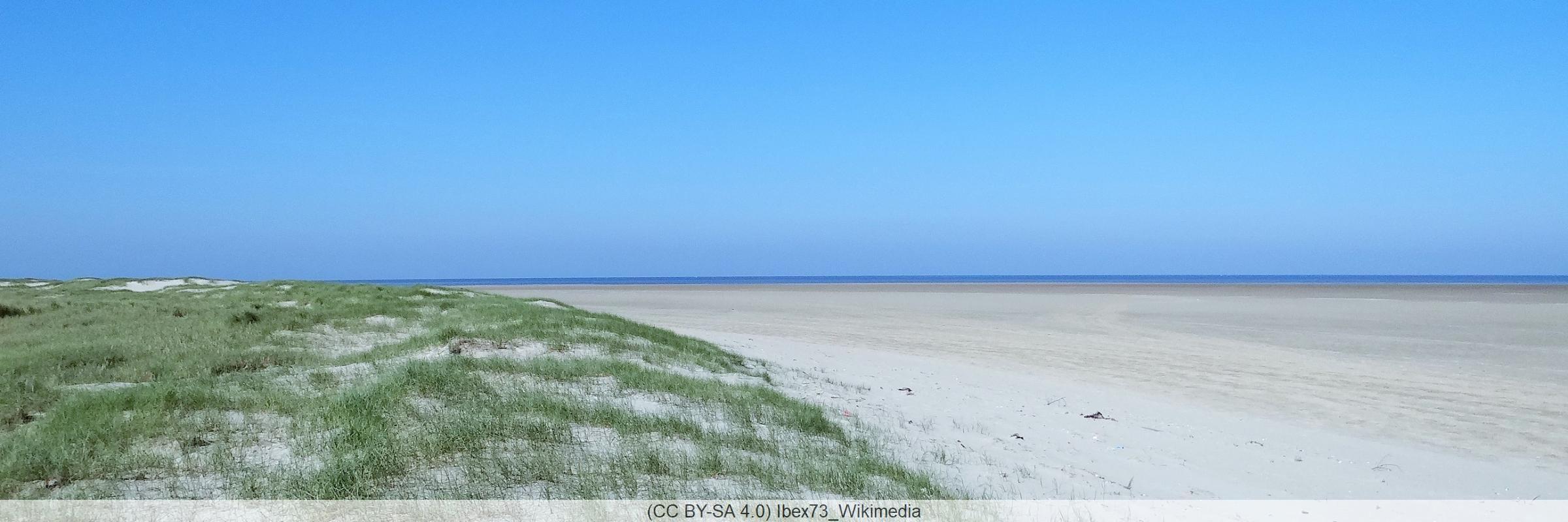 Baie d'Authie