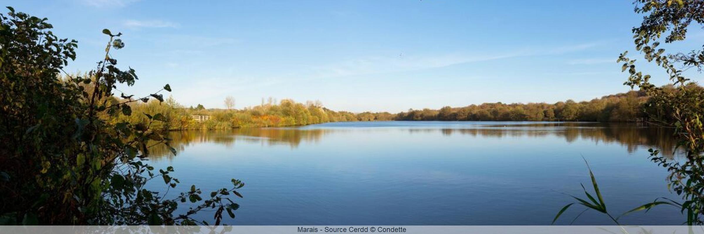 Marais © Condette