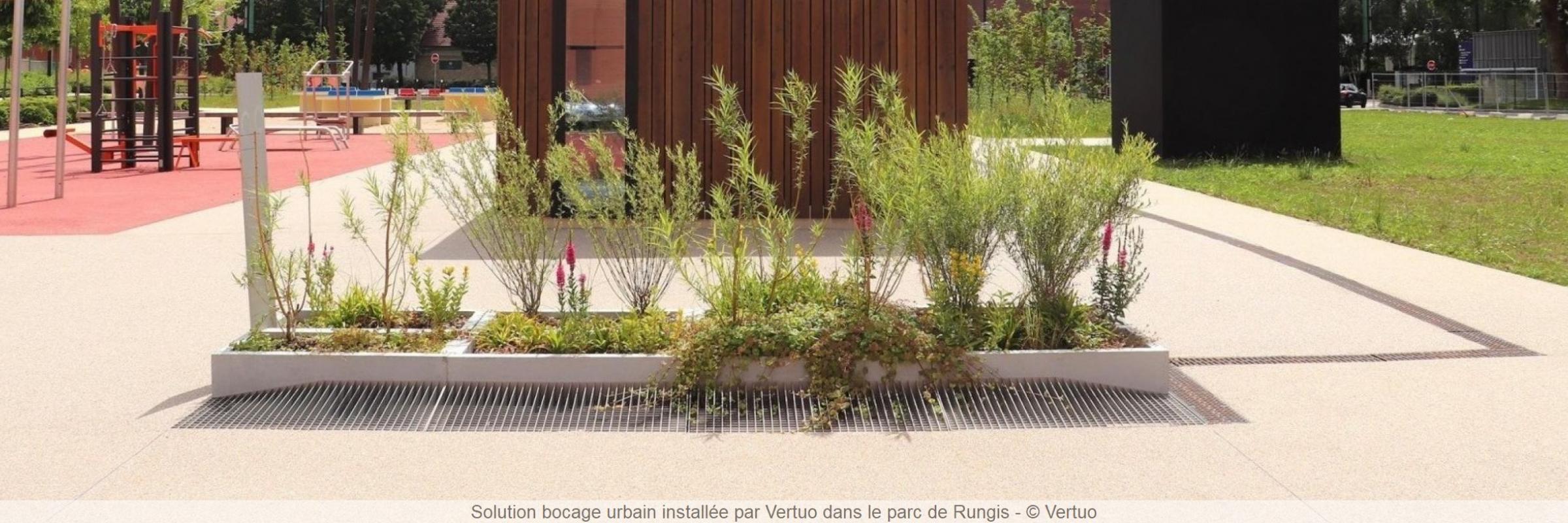 Solution bocage urbain installée par Vertuo dans le parc de Rungis - © Vertuo