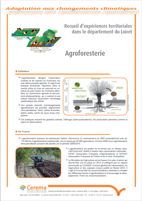 Agroforesterie