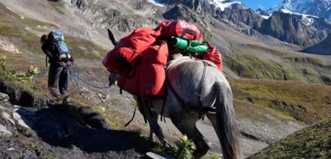 mont blanc