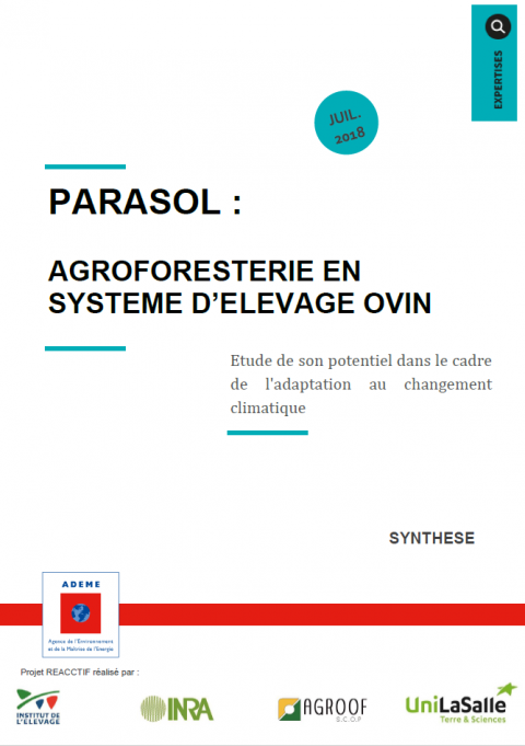 Projet Parasol